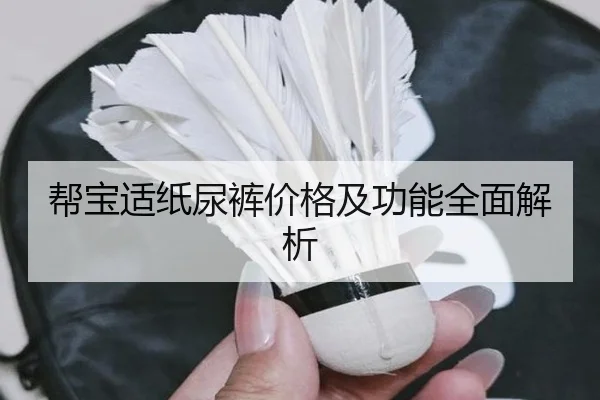 帮宝适纸尿裤价格及功能全面解析
