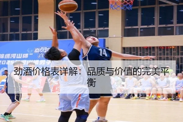 劲酒价格表详解：品质与价值的完美平衡