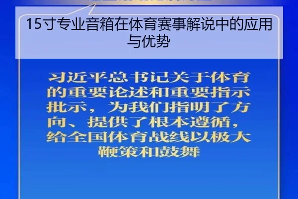 15寸专业音箱在体育赛事解说中的应用与优势